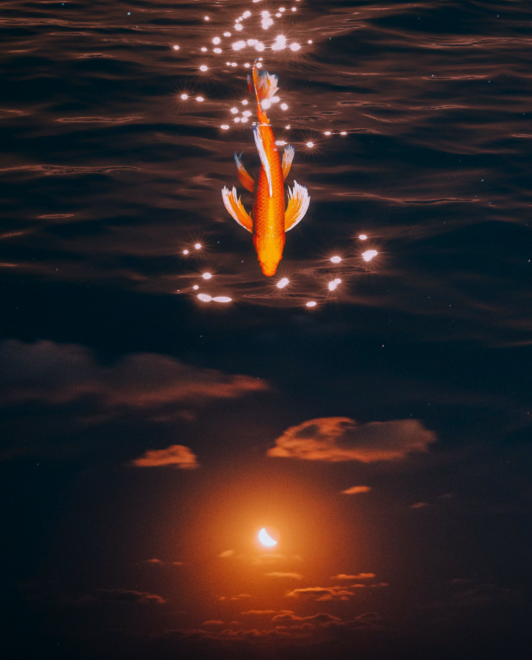 Moonlight Swim