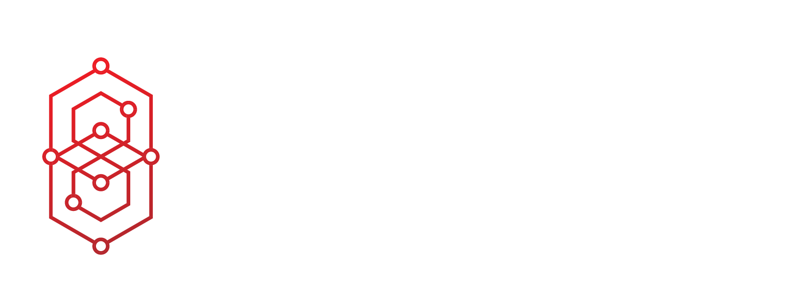 The BlkChain 