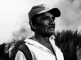 Sugar land A Farmer Gaze