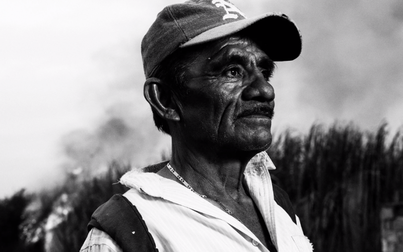 Sugar land A Farmer Gaze